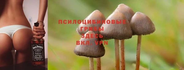 jwh Арсеньев