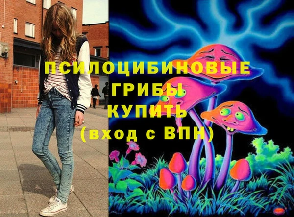 тгк Армянск