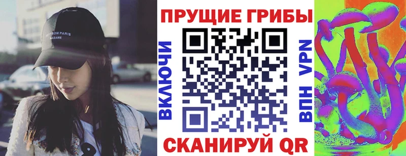 Псилоцибиновые грибы прущие грибы  Великий Устюг 